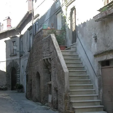 Il Guscio 아파트 Barbarano Romano